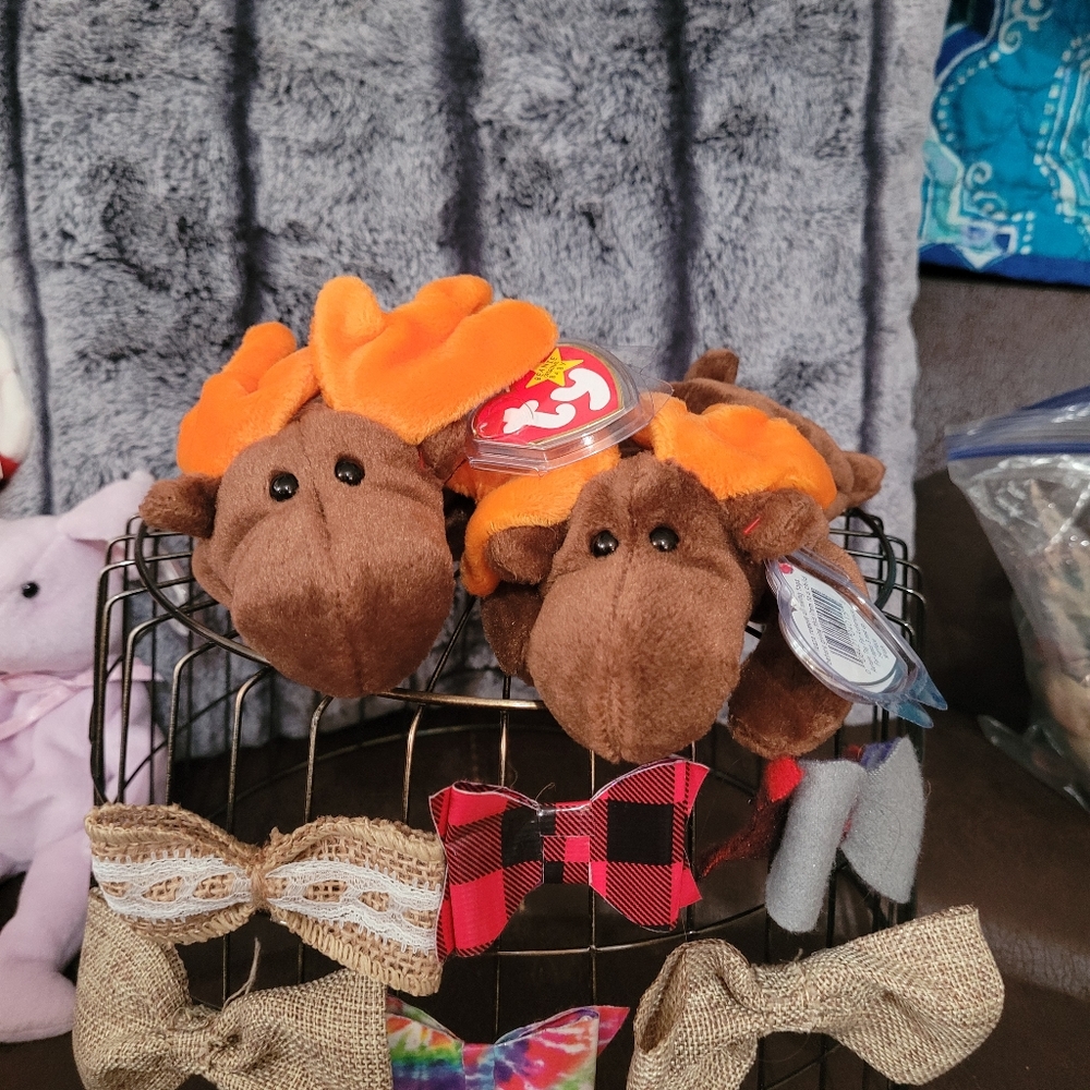 Beanie baby